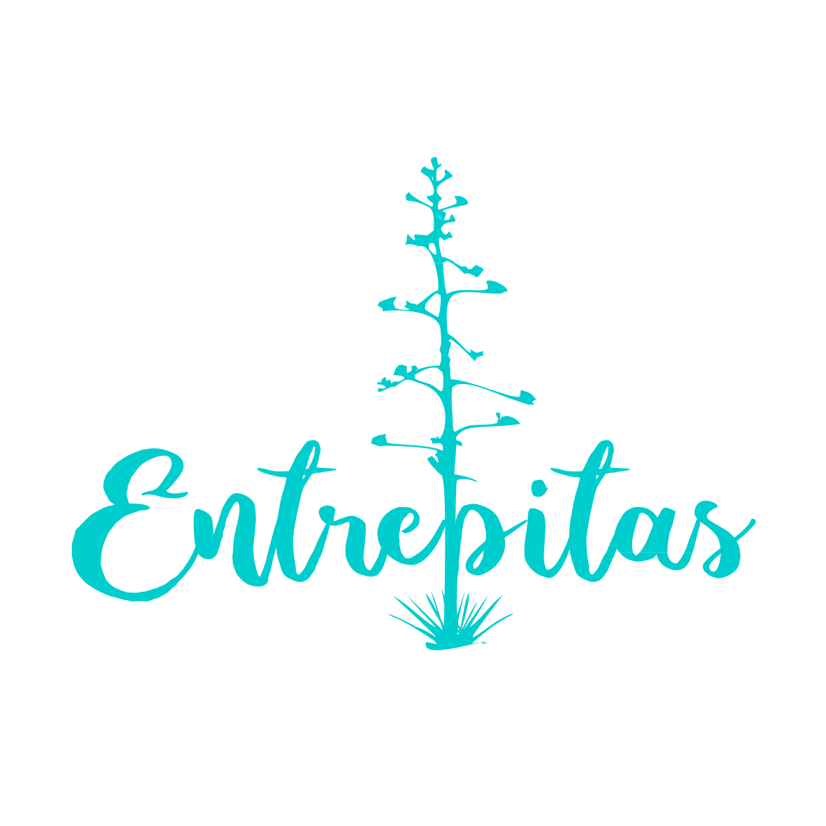 Entrepitas logo