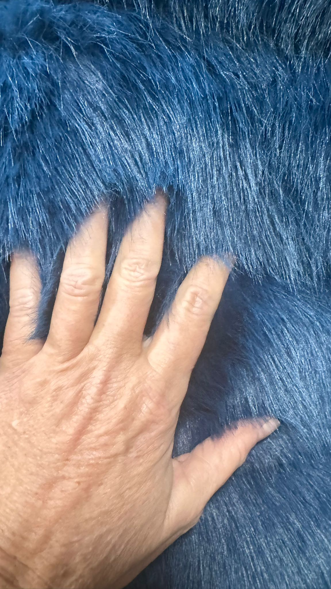 WhatsApp Image 2026-01-29 at 10.17.34 (2)