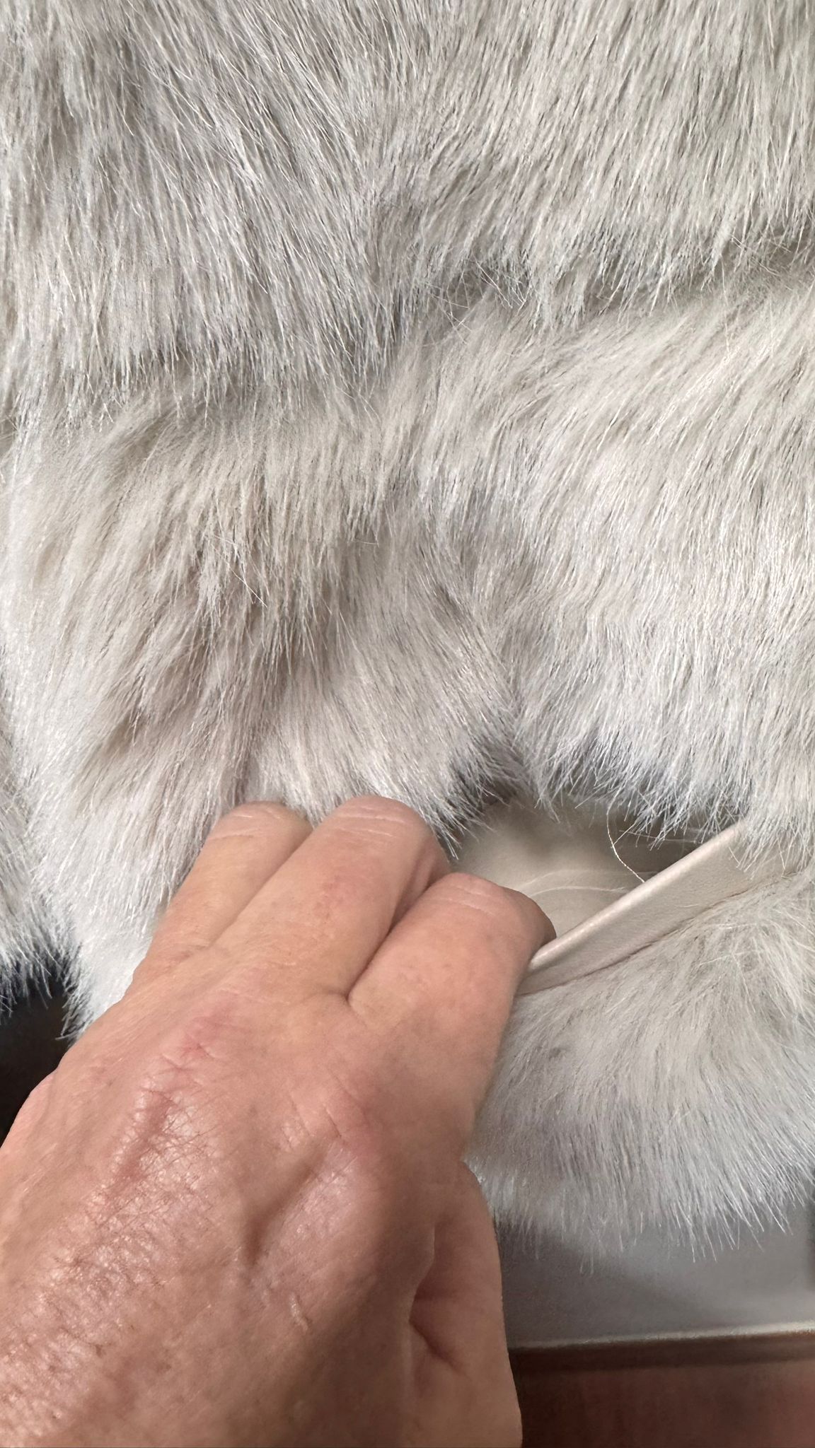 WhatsApp Image 2026-01-29 at 10.17.34 (6)