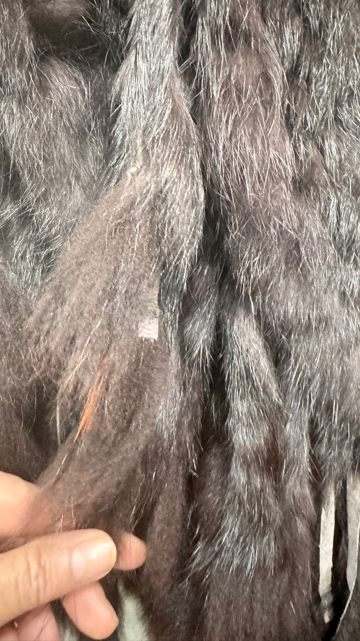 WhatsApp Image 2026-01-29 at 10.17.35 (1)