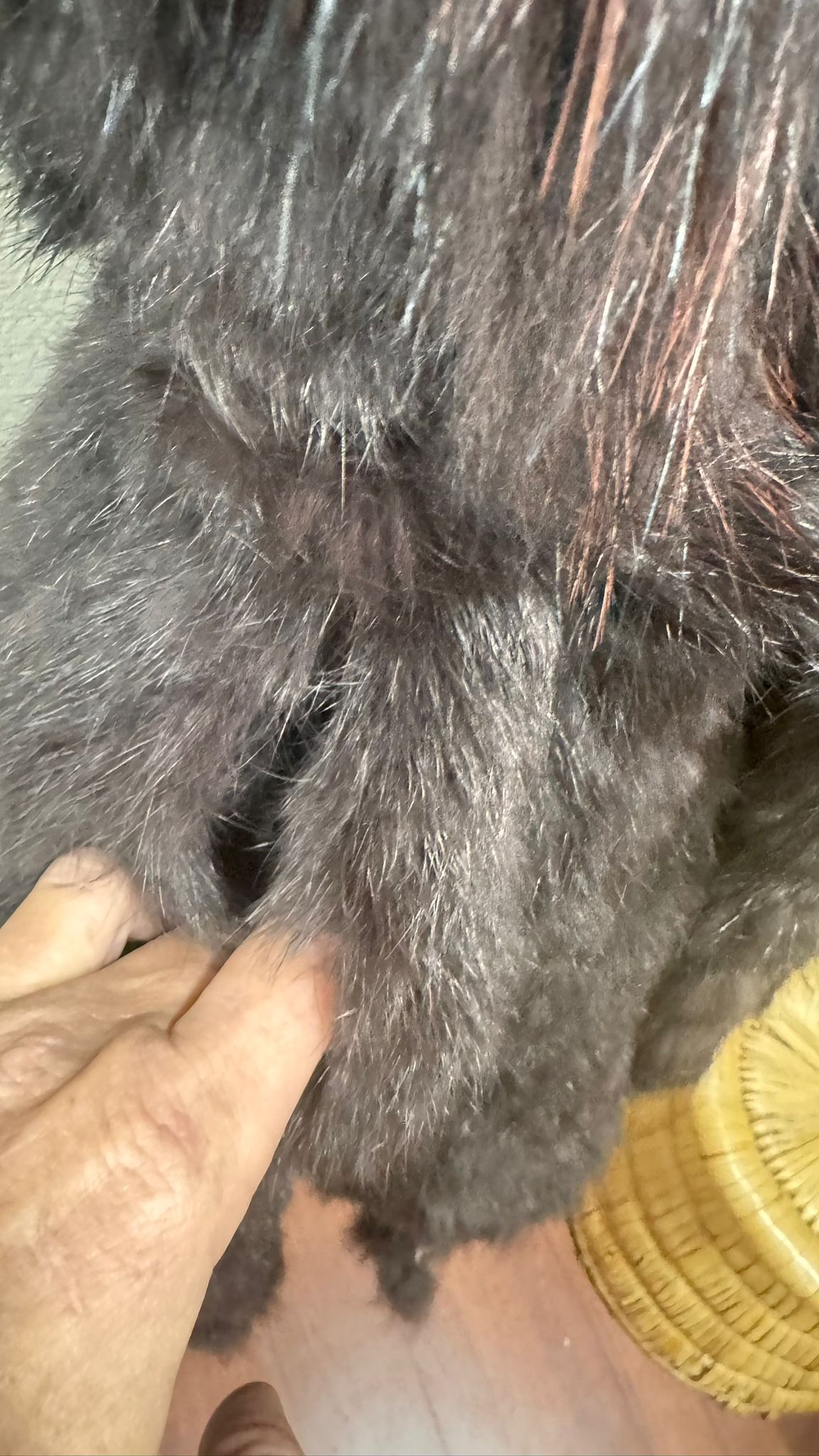 WhatsApp Image 2026-01-29 at 10.17.35 (3)