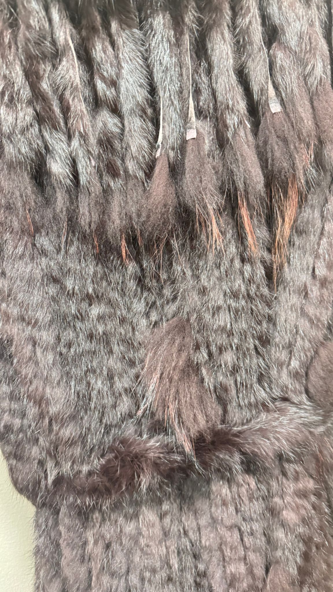 WhatsApp Image 2026-01-29 at 10.17.35 (5)